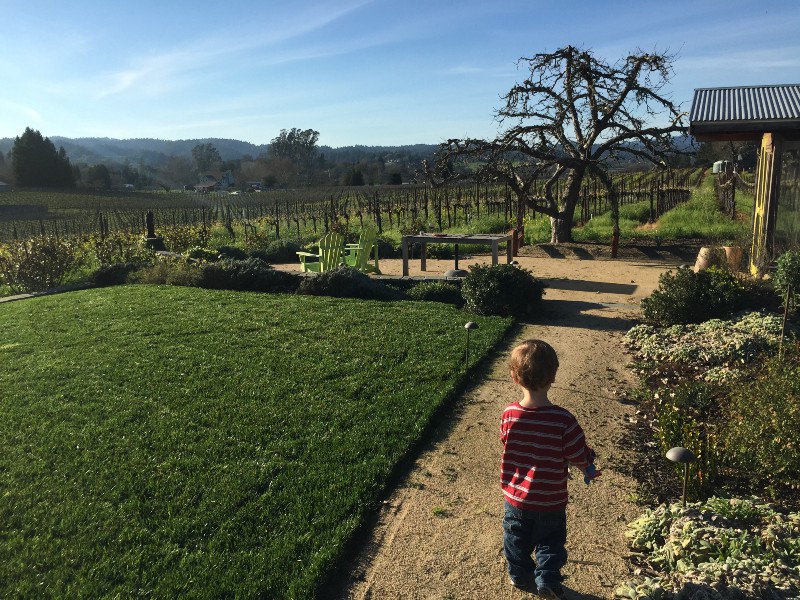 photo of my son in the yard of an AirBnB house in Sebastopol, CA
